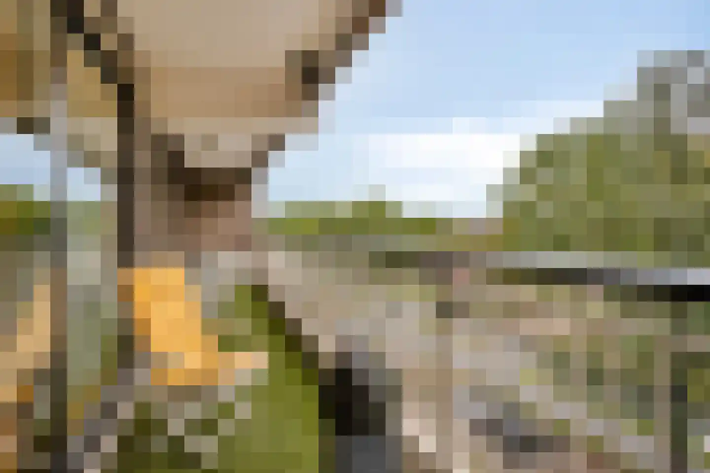 Veldmaarschalk Montgomerylaan 309 Eindhoven thumbnail 22