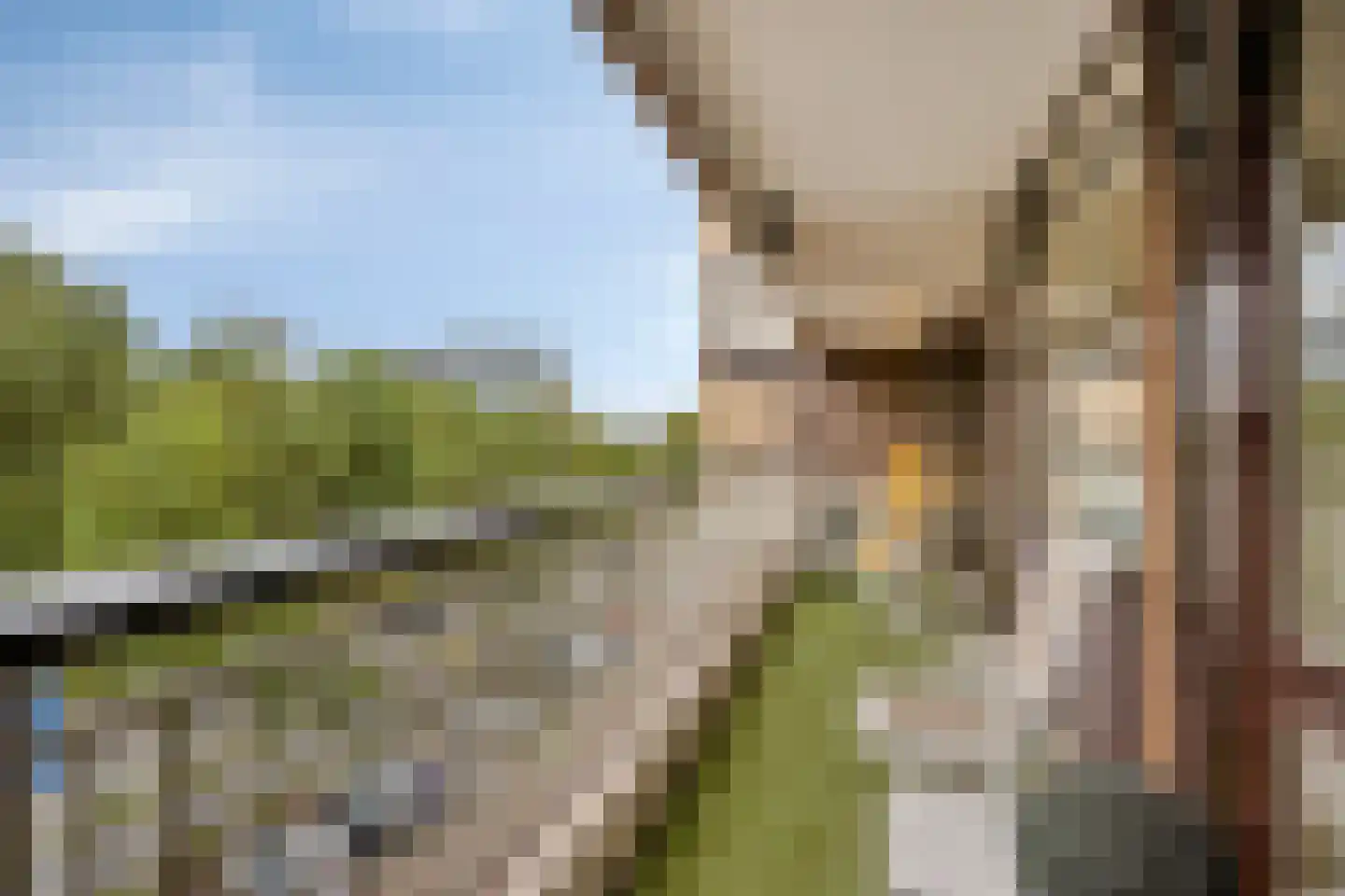 Veldmaarschalk Montgomerylaan 309 Eindhoven thumbnail 23