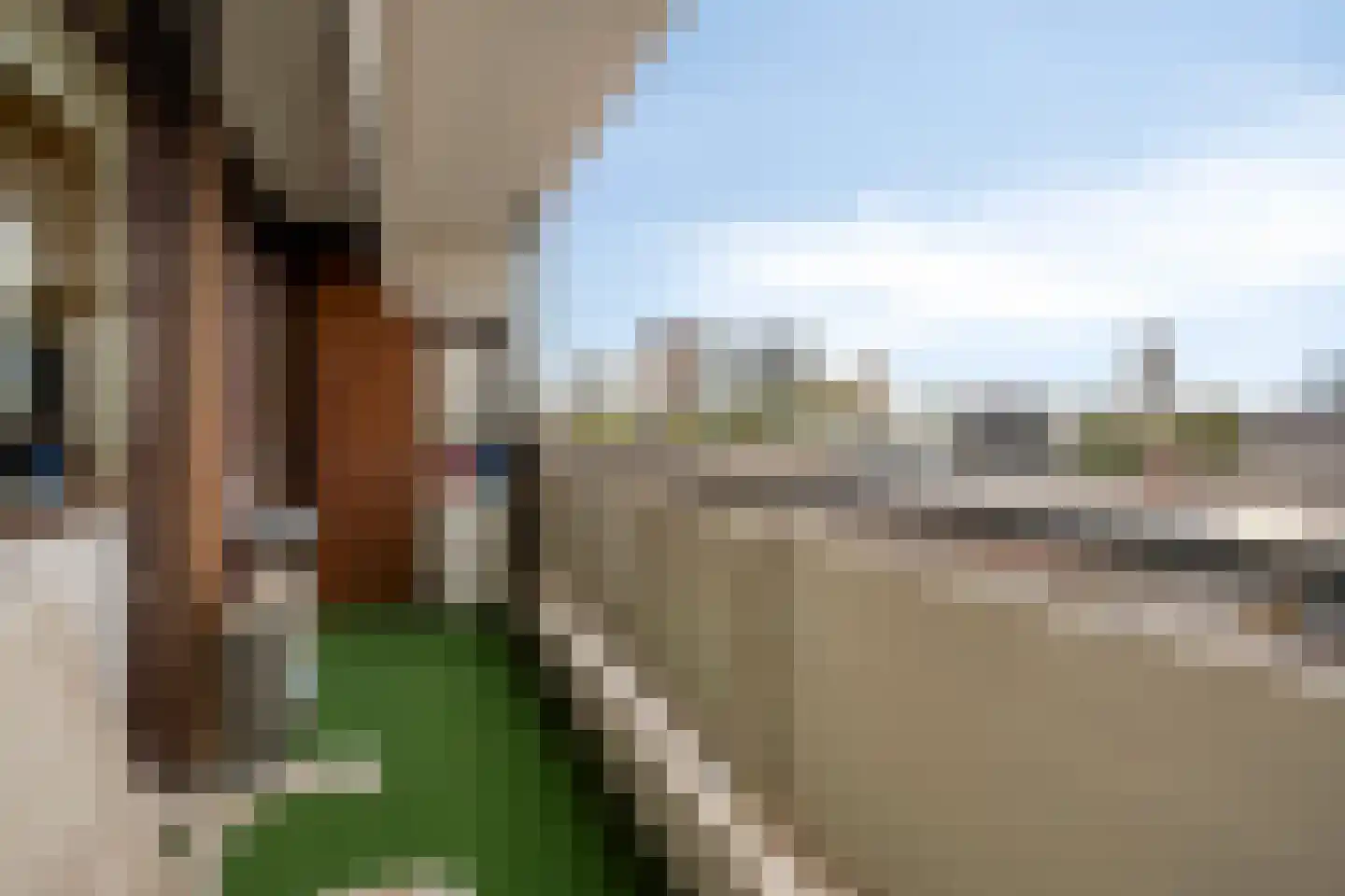 Veldmaarschalk Montgomerylaan 309 Eindhoven thumbnail 31