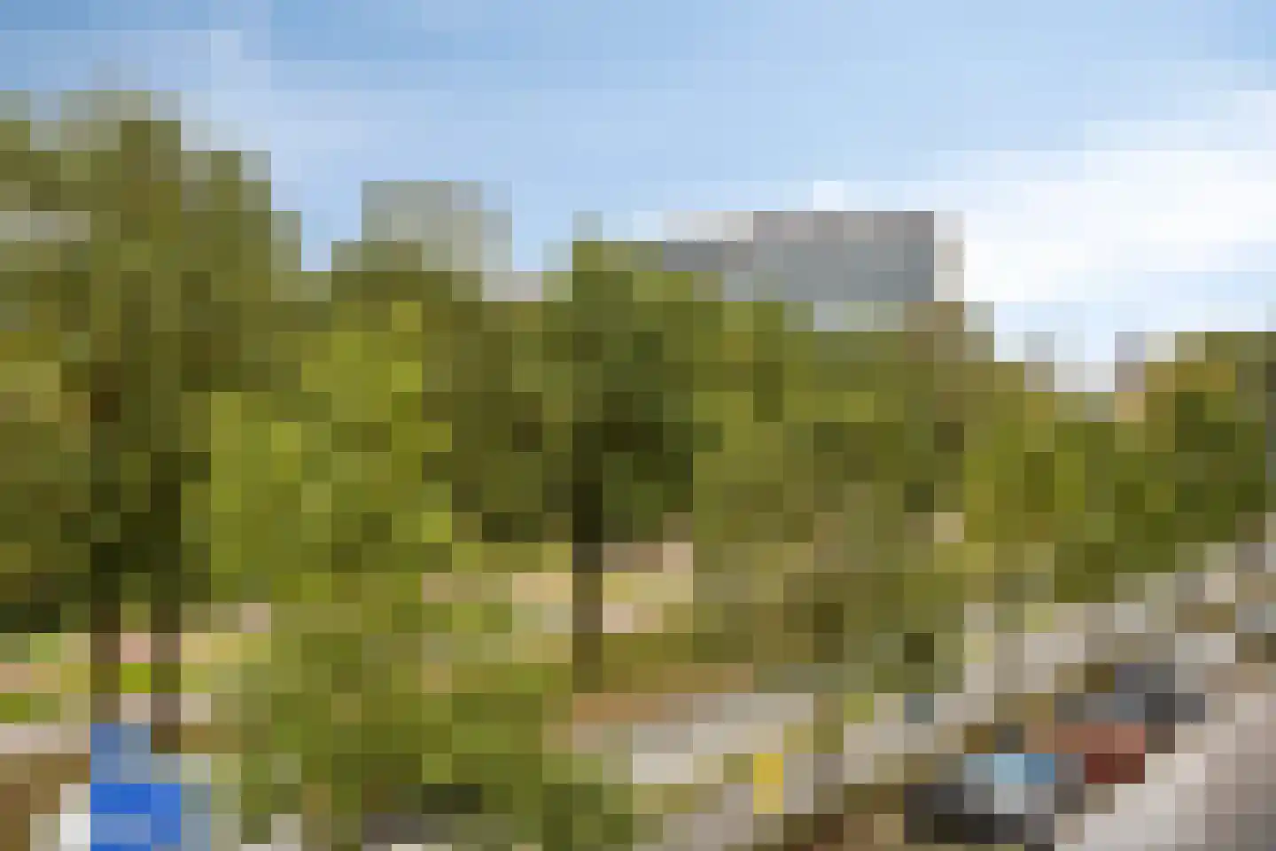 Veldmaarschalk Montgomerylaan 309 Eindhoven thumbnail 33