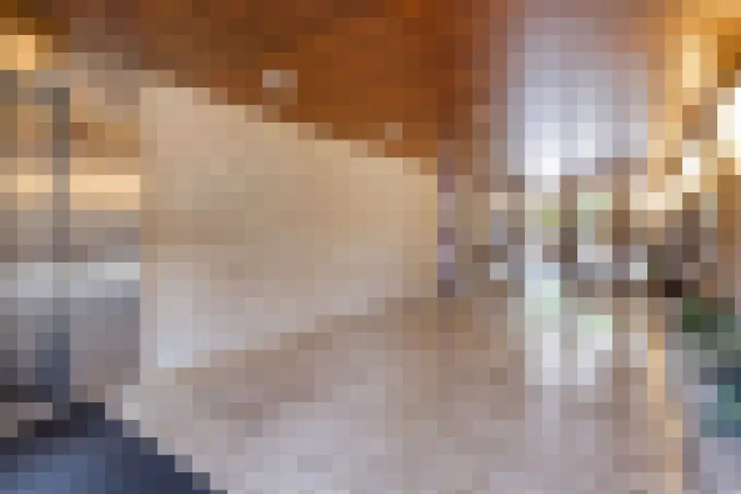 Veldmaarschalk Montgomerylaan 323 Eindhoven thumbnail 10