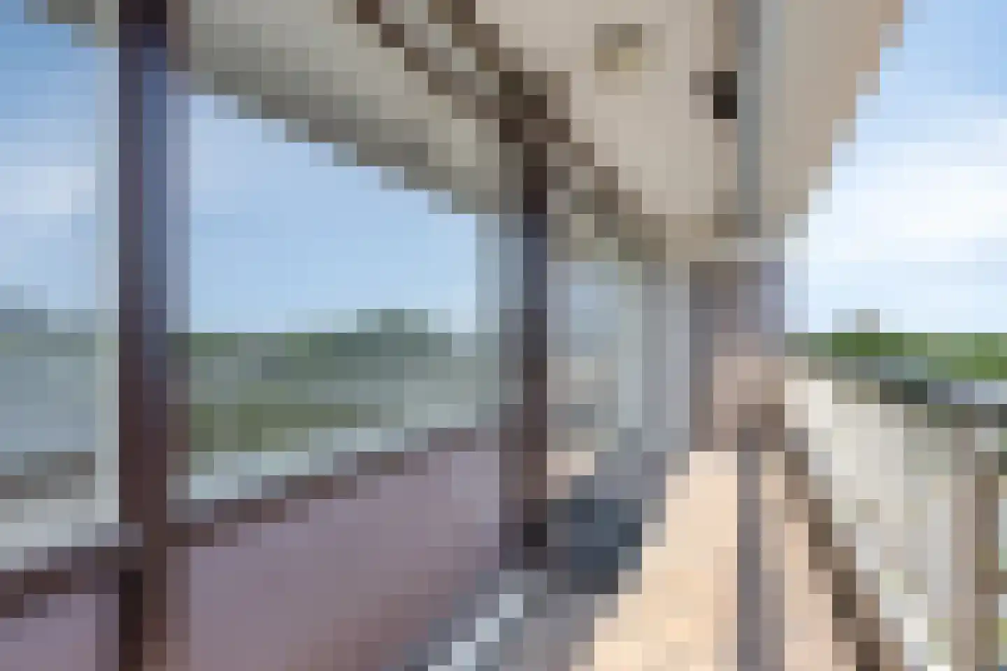 Veldmaarschalk Montgomerylaan 323 Eindhoven thumbnail 39