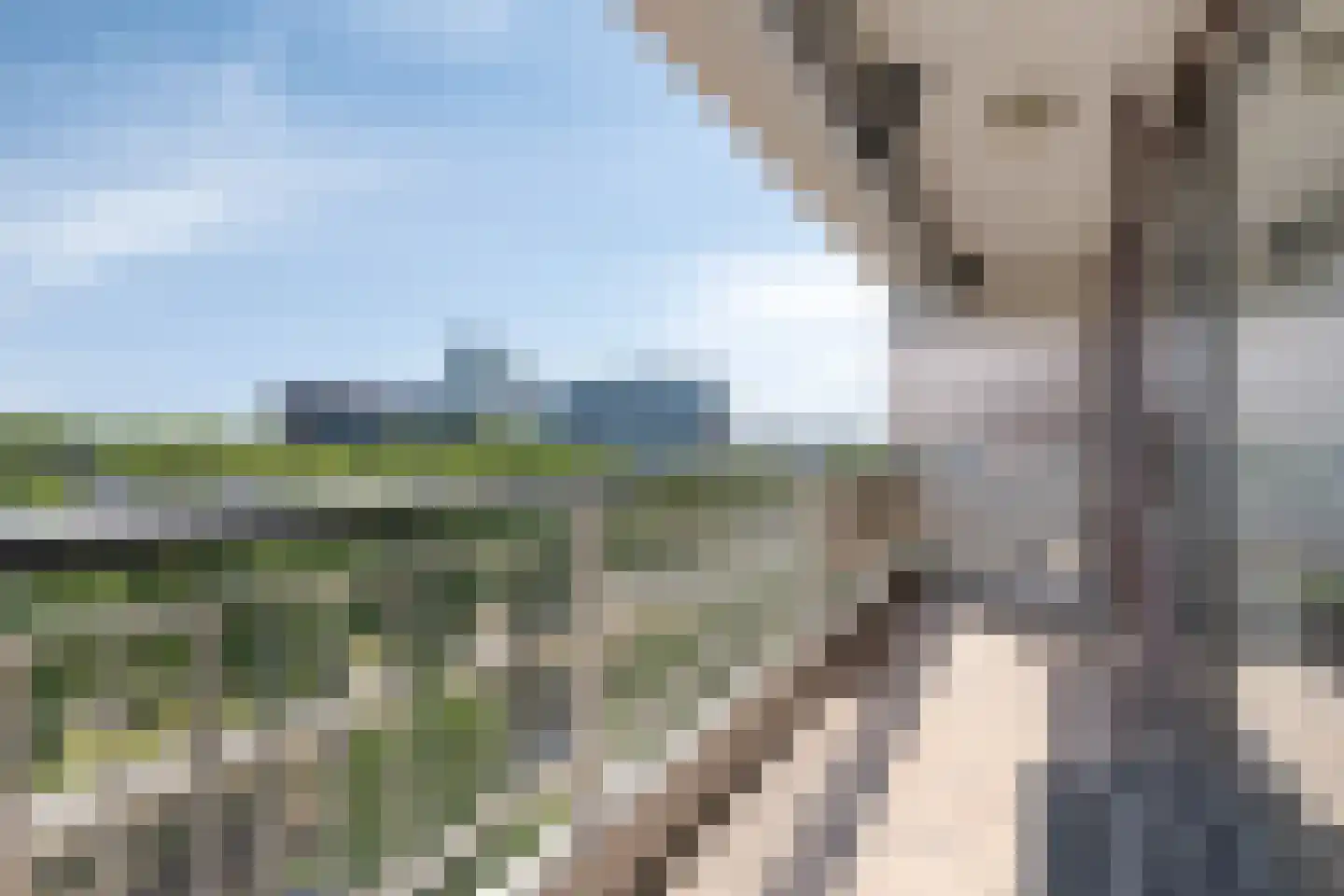 Veldmaarschalk Montgomerylaan 323 Eindhoven thumbnail 5