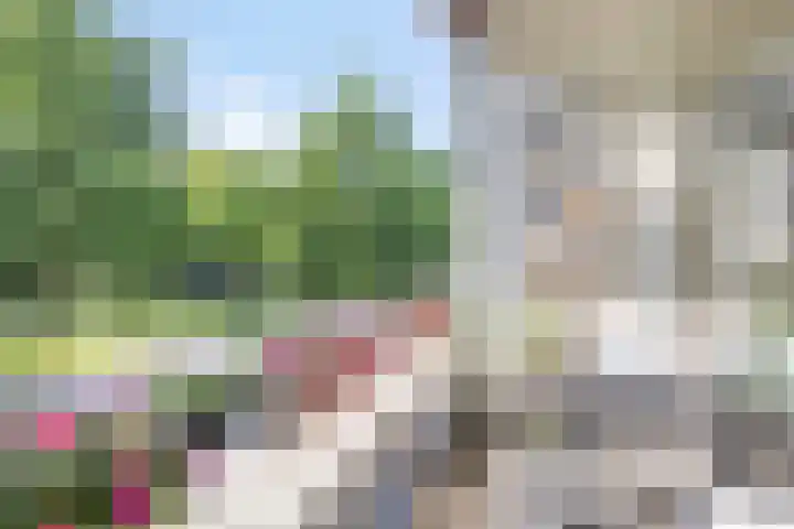 Veldmaarschalk Montgomerylaan 328 Eindhoven thumbnail 15