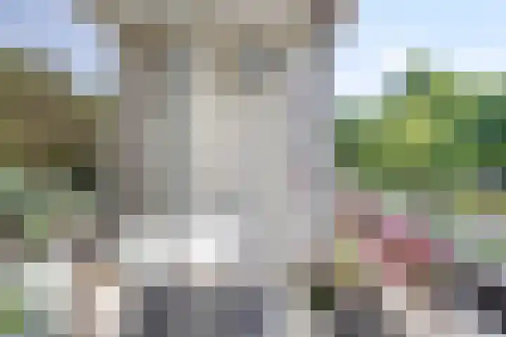 Veldmaarschalk Montgomerylaan 328 Eindhoven thumbnail 16