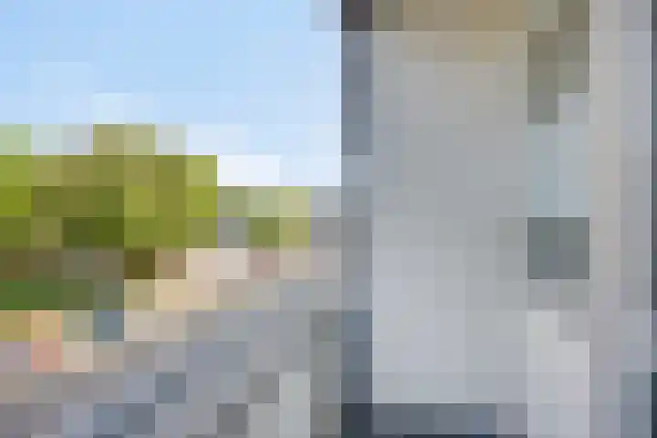 Veldmaarschalk Montgomerylaan 328 Eindhoven thumbnail 26