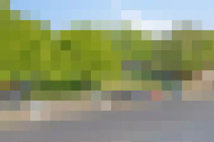 Veldmaarschalk Montgomerylaan 328 Eindhoven thumbnail 27