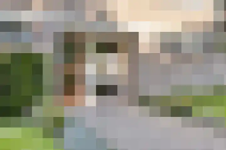 Veldmaarschalk Montgomerylaan 328 Eindhoven thumbnail 5