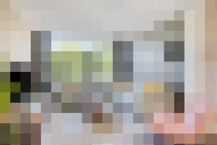 Veldmaarschalk Montgomerylaan 328 Eindhoven thumbnail 8