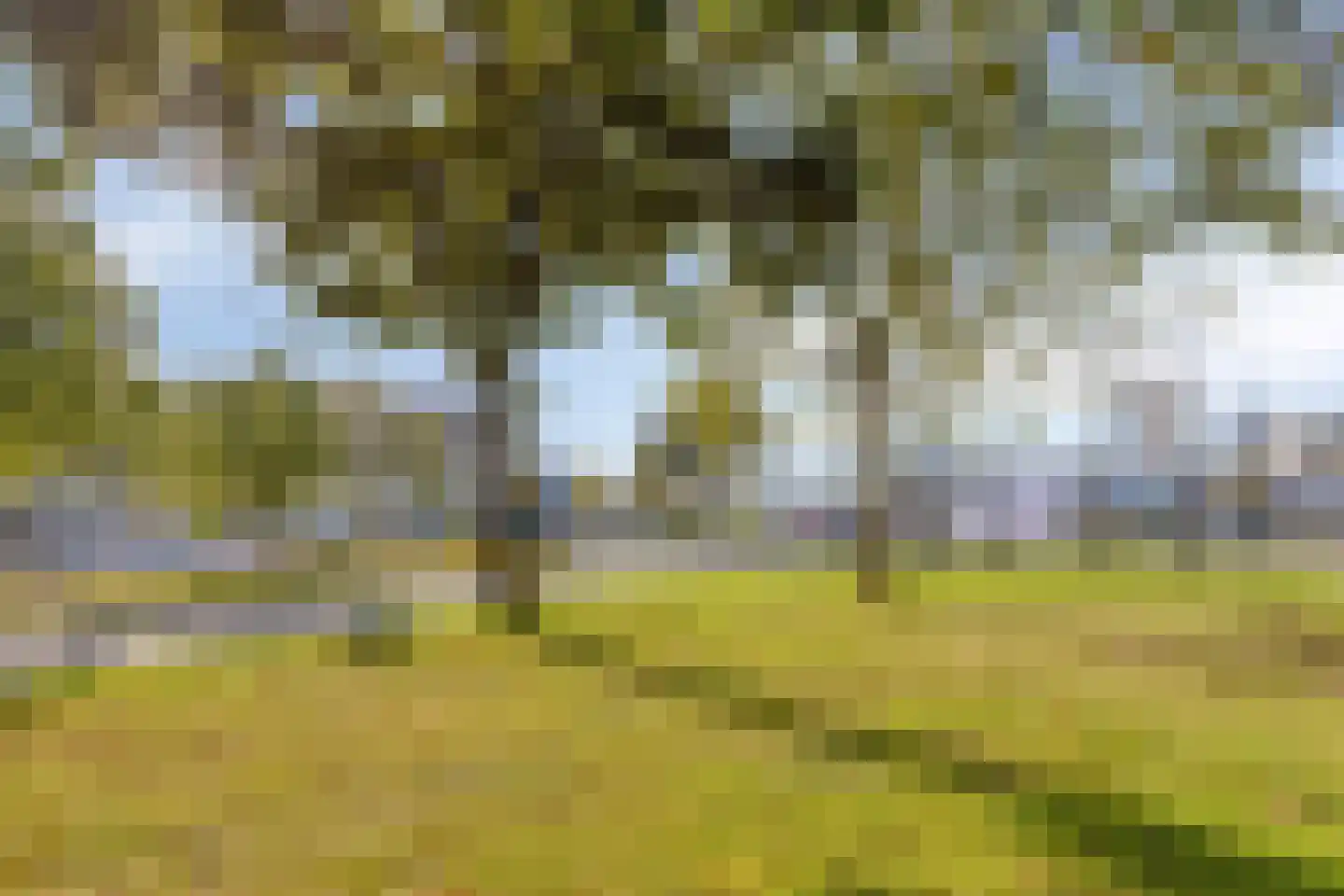 Veldmaarschalk Montgomerylaan 33 Eindhoven thumbnail 37