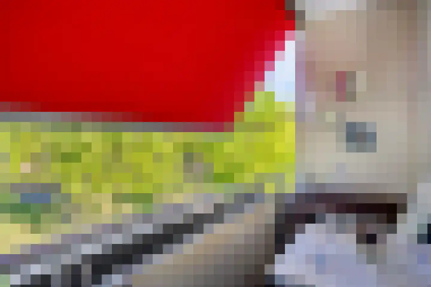 Veldmaarschalk Montgomerylaan 332 Eindhoven thumbnail 13