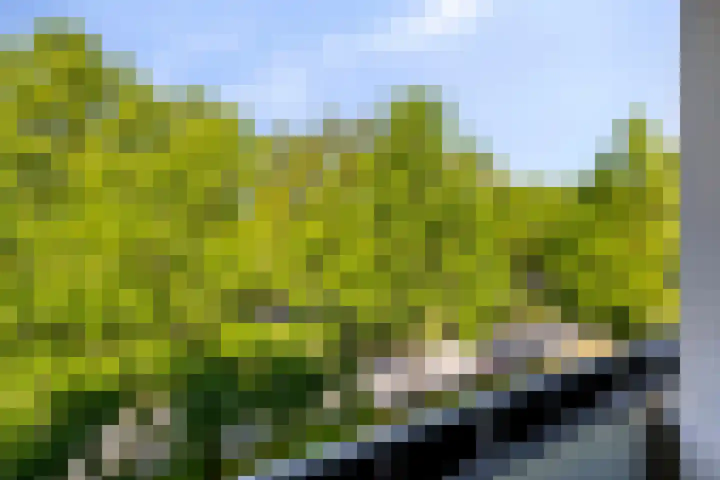 Veldmaarschalk Montgomerylaan 332 Eindhoven thumbnail 23