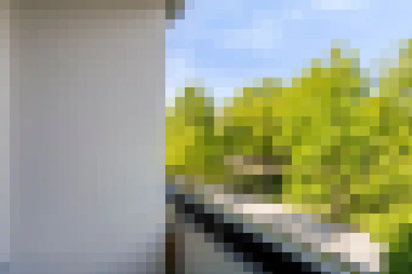 Veldmaarschalk Montgomerylaan 332 Eindhoven thumbnail 24