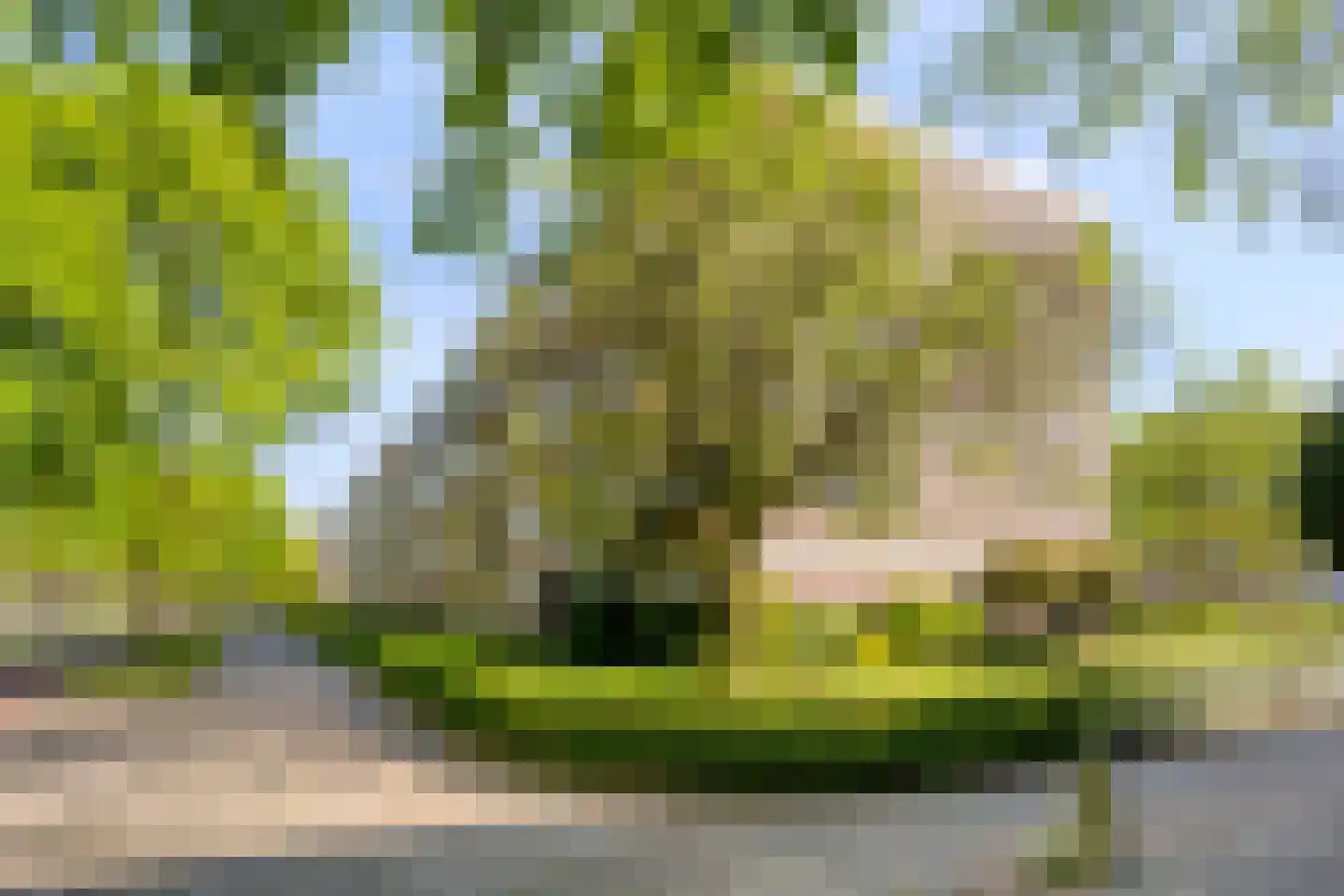 Veldmaarschalk Montgomerylaan 332 Eindhoven thumbnail 30