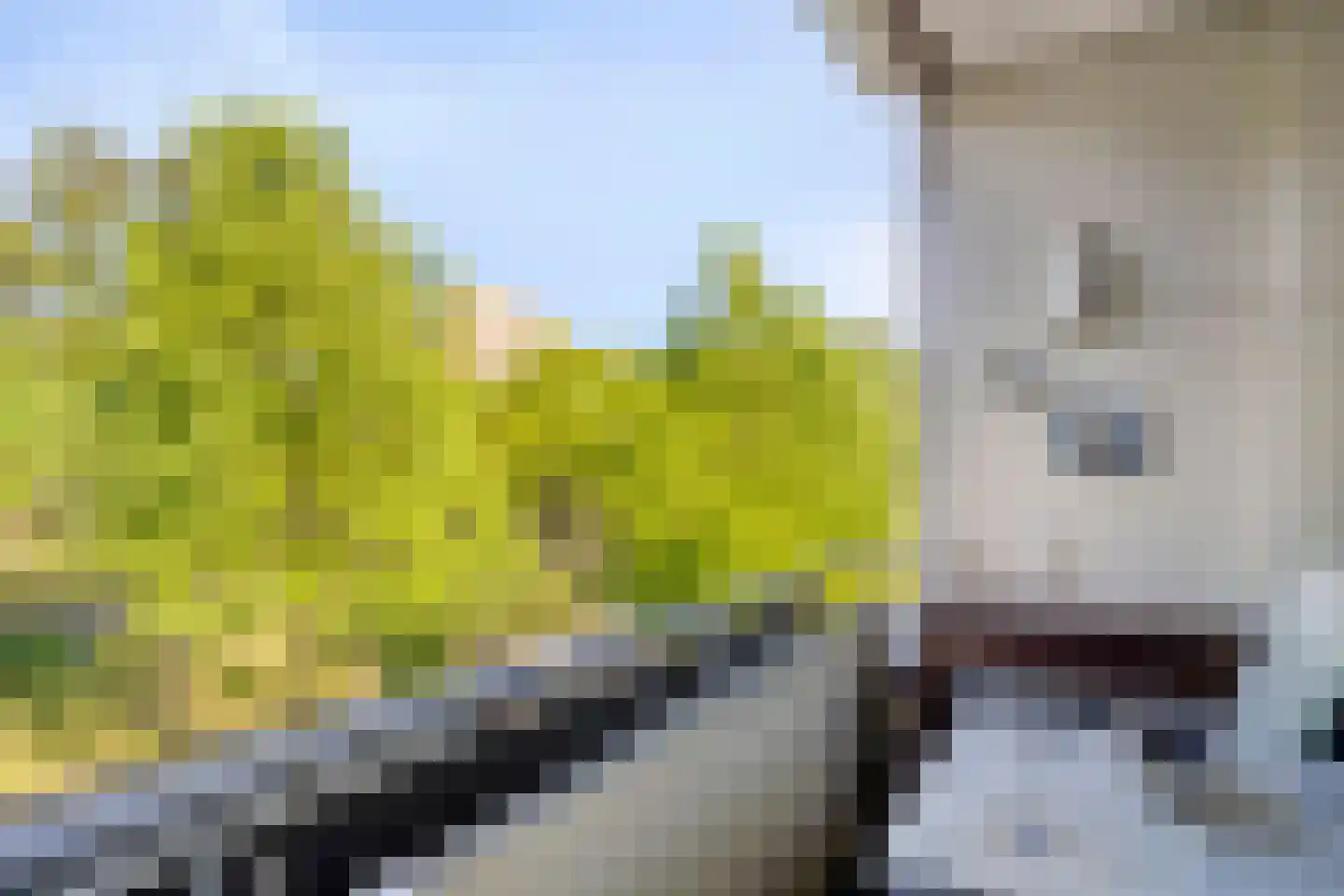 Veldmaarschalk Montgomerylaan 332 Eindhoven thumbnail 4