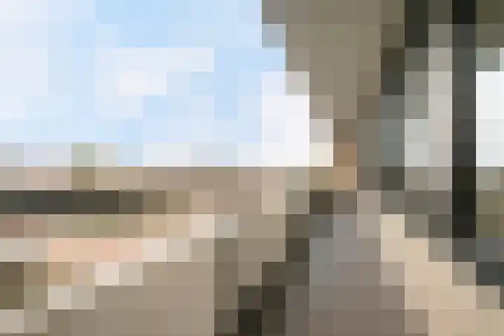 Veldmaarschalk Montgomerylaan 353 Eindhoven thumbnail 17