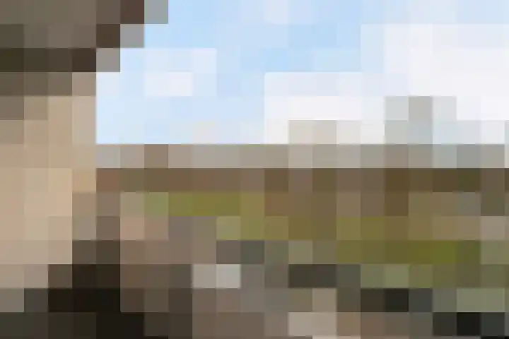 Veldmaarschalk Montgomerylaan 353 Eindhoven thumbnail 18