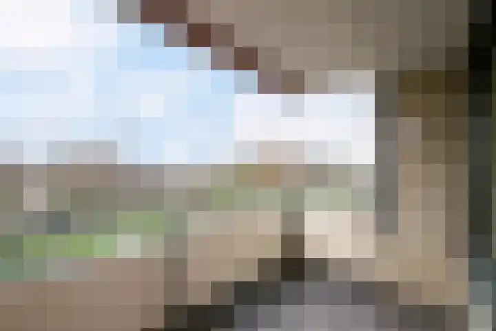 Veldmaarschalk Montgomerylaan 353 Eindhoven thumbnail 19
