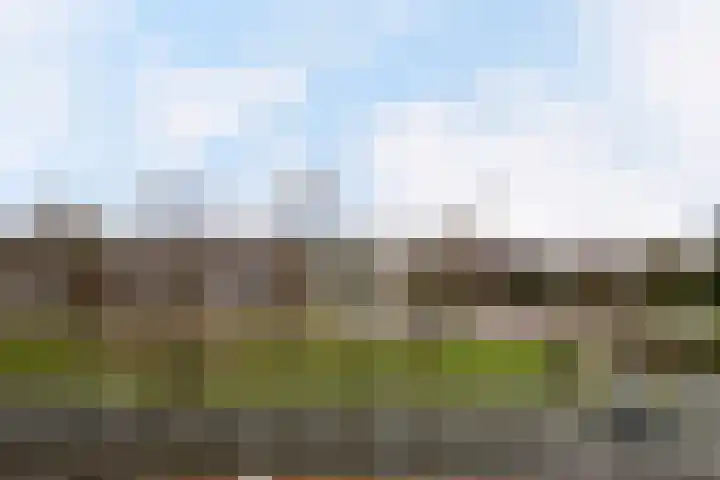 Veldmaarschalk Montgomerylaan 353 Eindhoven thumbnail 20