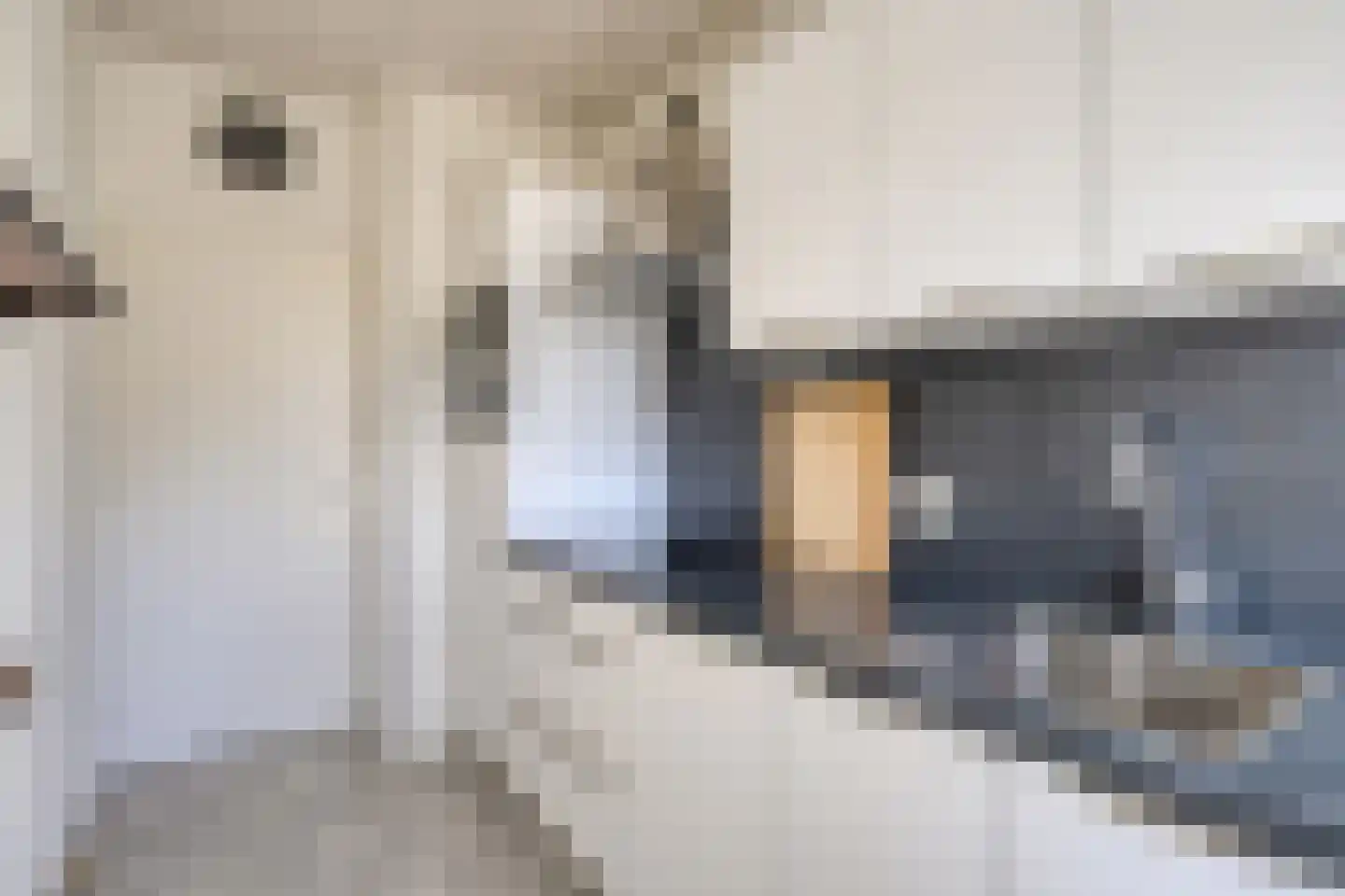Veldmaarschalk Montgomerylaan 354 Eindhoven thumbnail 23
