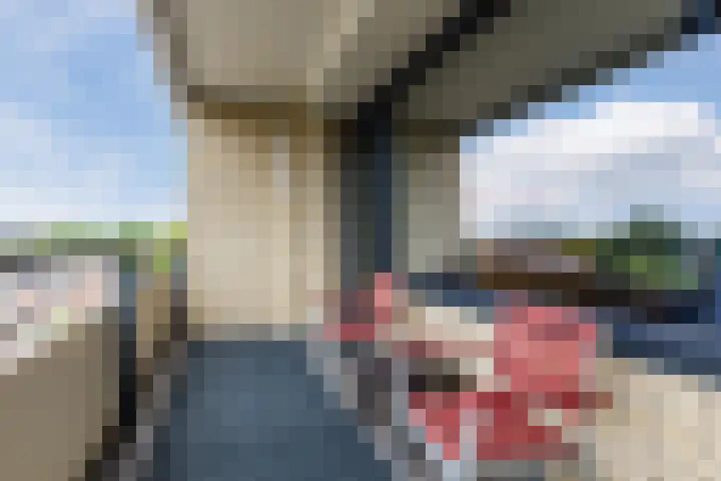 Veldmaarschalk Montgomerylaan 357 Eindhoven thumbnail 35