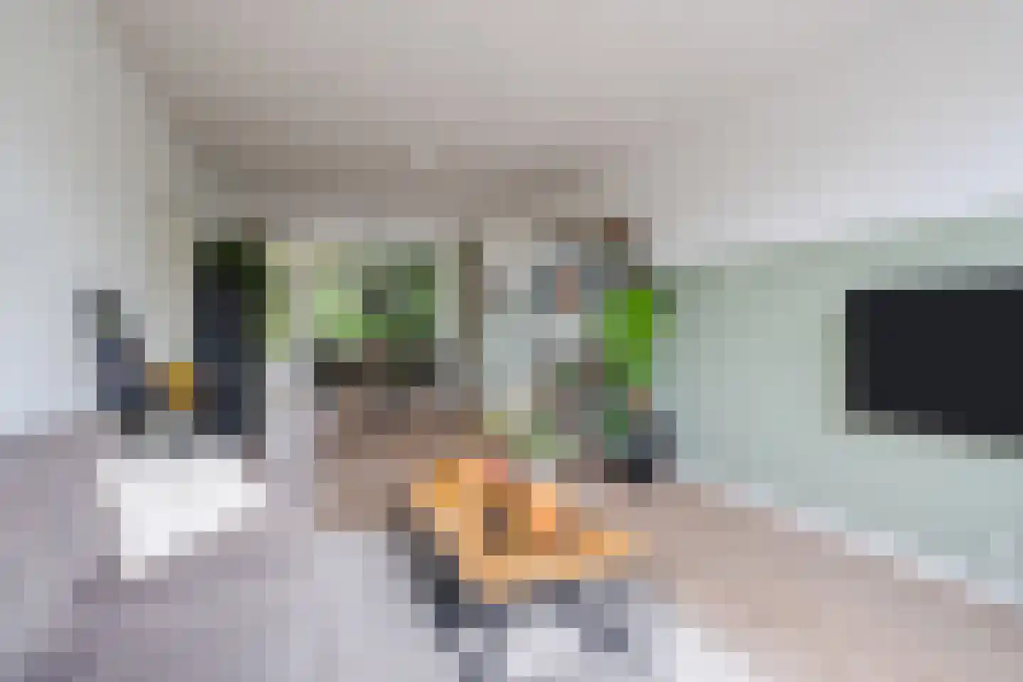 Veldmaarschalk Montgomerylaan 364 Eindhoven thumbnail 15