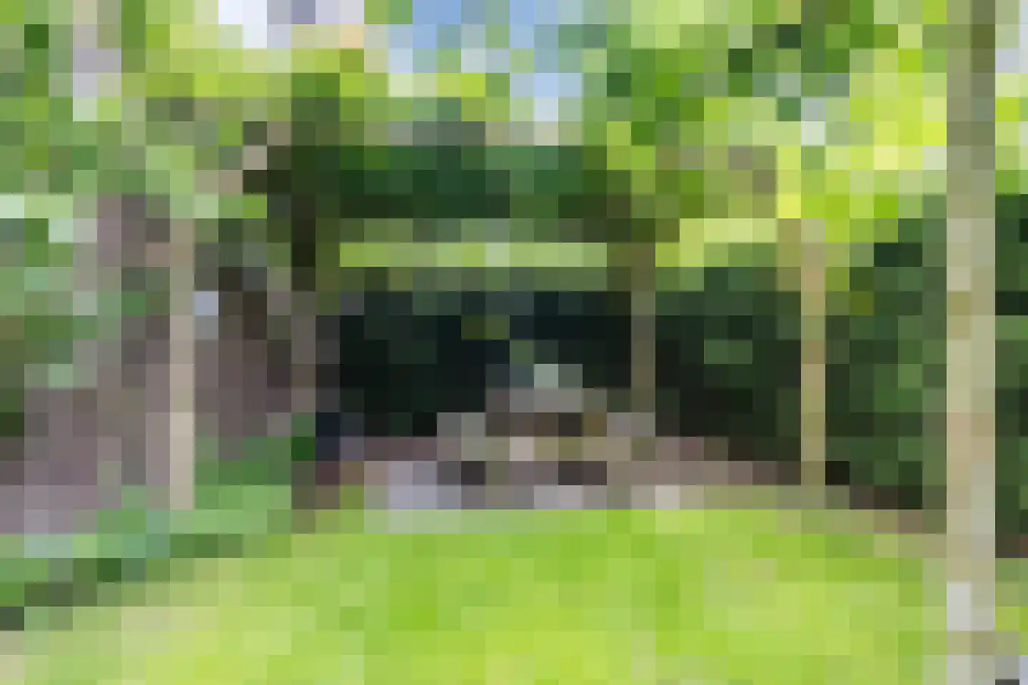 Veldmaarschalk Montgomerylaan 364 Eindhoven thumbnail 35