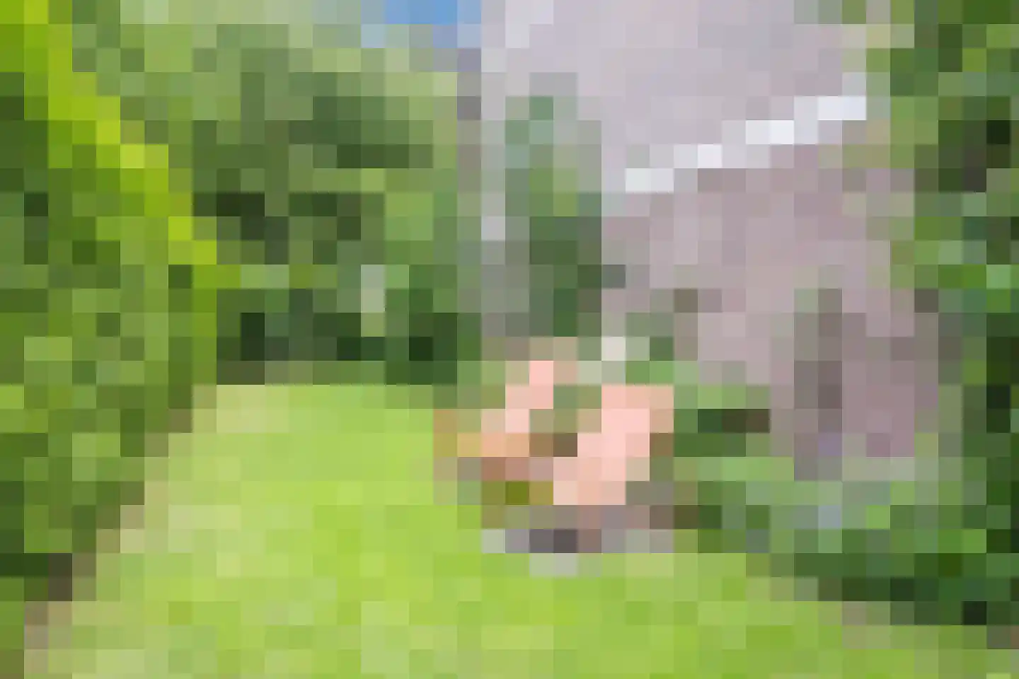 Veldmaarschalk Montgomerylaan 364 Eindhoven thumbnail 36
