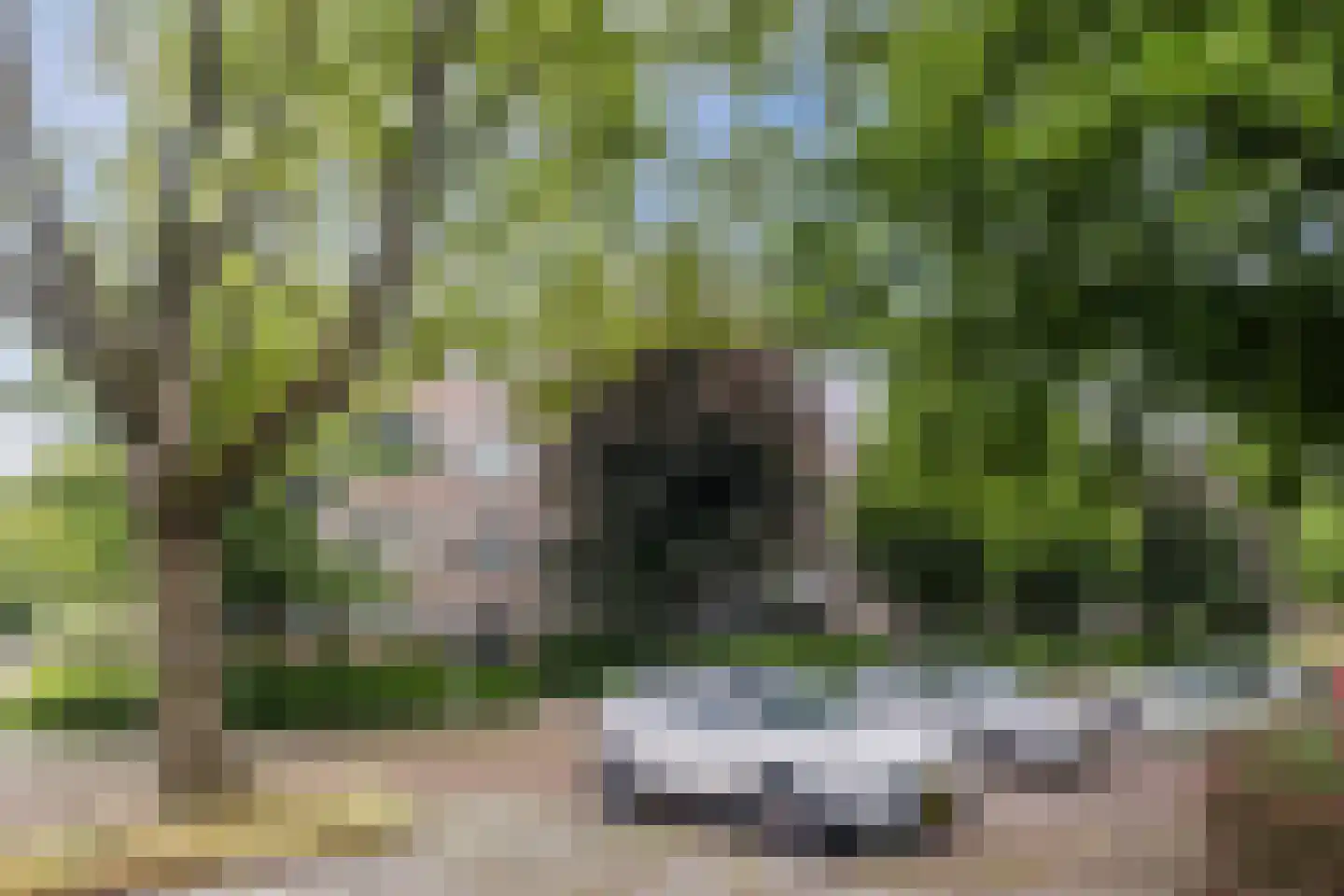 Veldmaarschalk Montgomerylaan 364 Eindhoven thumbnail 38
