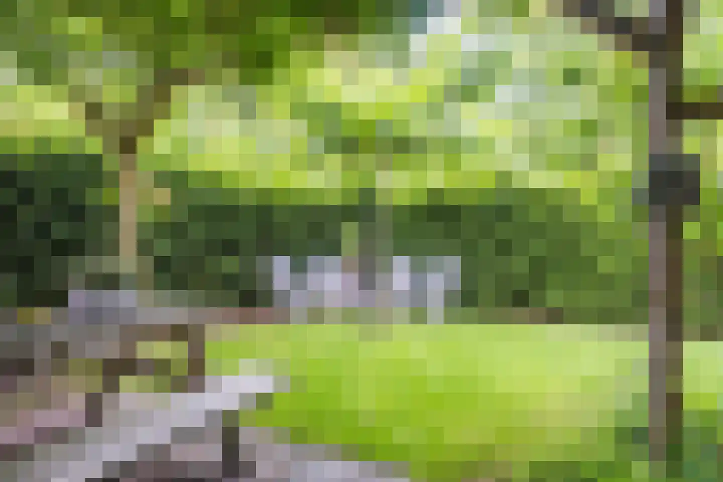 Veldmaarschalk Montgomerylaan 364 Eindhoven thumbnail 5