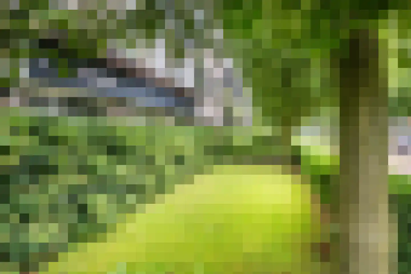Veldmaarschalk Montgomerylaan 364 Eindhoven thumbnail 6