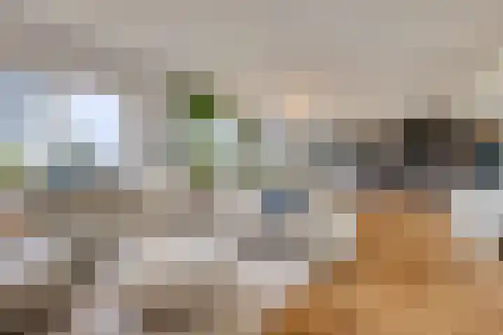 Veldmaarschalk Montgomerylaan 365 Eindhoven thumbnail 14