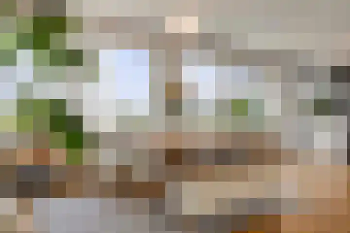 Veldmaarschalk Montgomerylaan 365 Eindhoven thumbnail 15