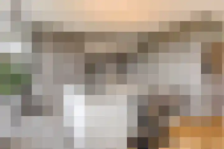Veldmaarschalk Montgomerylaan 365 Eindhoven thumbnail 17