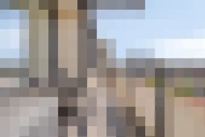 Veldmaarschalk Montgomerylaan 365 Eindhoven thumbnail 28