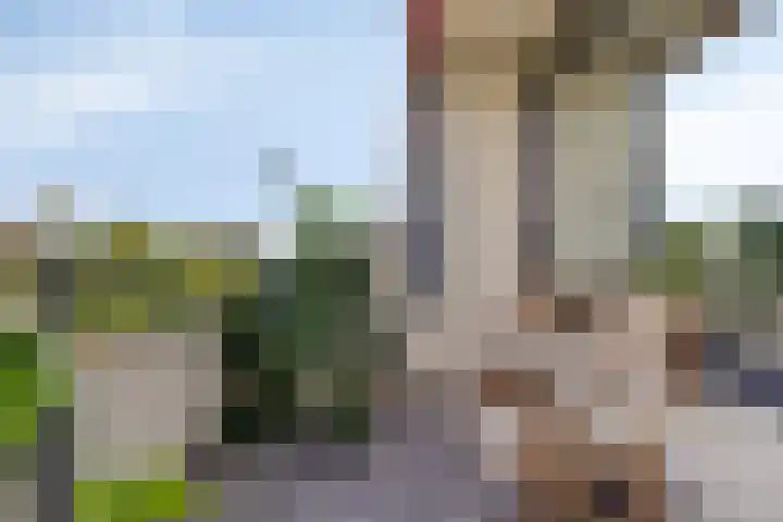 Veldmaarschalk Montgomerylaan 365 Eindhoven thumbnail 30