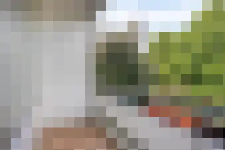 Veldmaarschalk Montgomerylaan 366 Eindhoven thumbnail 15