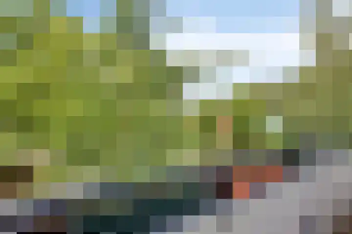 Veldmaarschalk Montgomerylaan 366 Eindhoven thumbnail 16