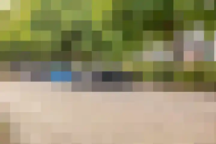 Veldmaarschalk Montgomerylaan 366 Eindhoven thumbnail 25