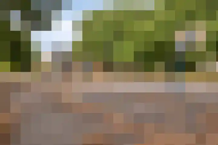Veldmaarschalk Montgomerylaan 366 Eindhoven thumbnail 26