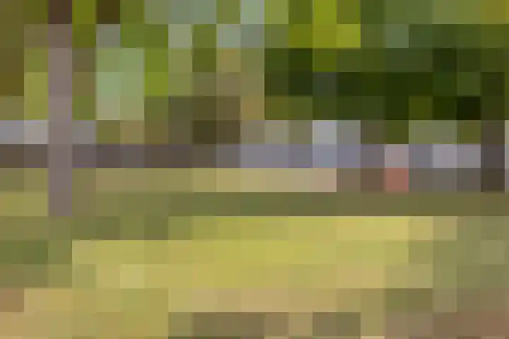 Veldmaarschalk Montgomerylaan 366 Eindhoven thumbnail 27
