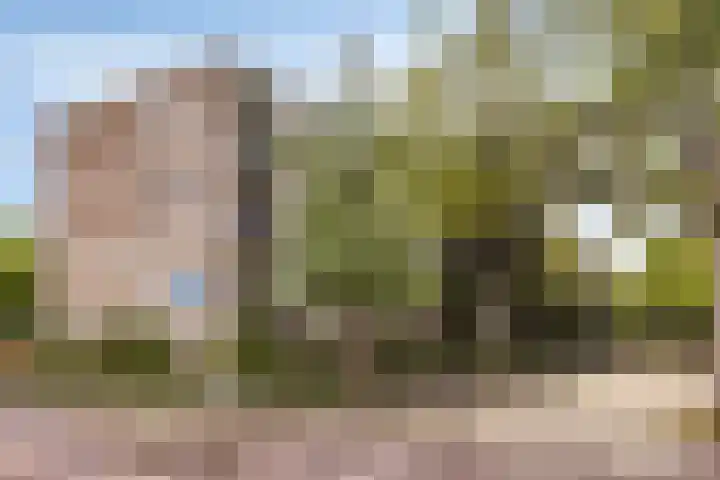 Veldmaarschalk Montgomerylaan 366 Eindhoven thumbnail 7