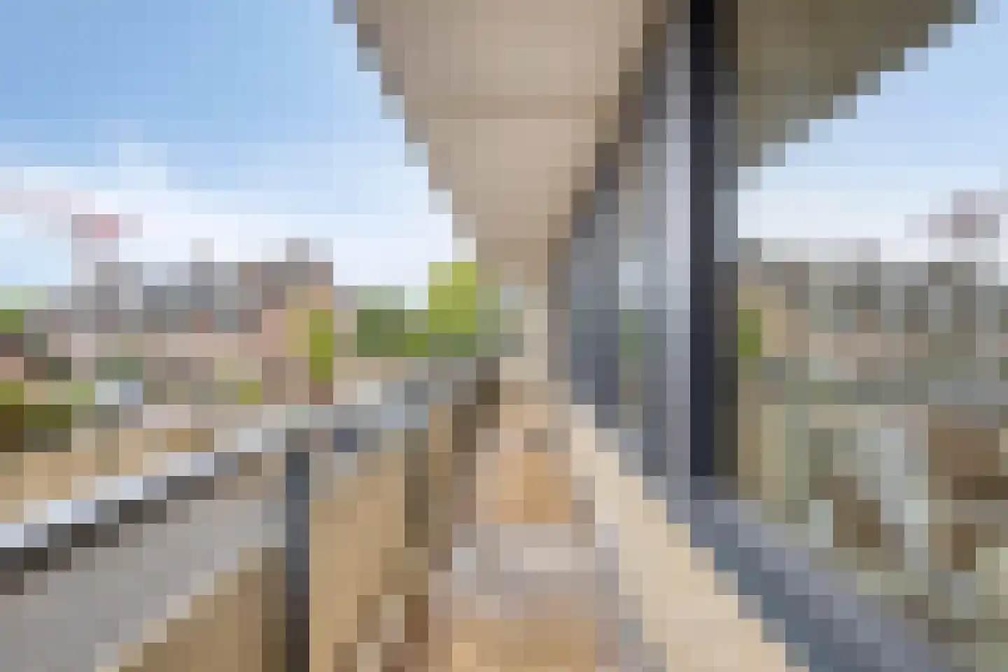 Veldmaarschalk Montgomerylaan 369 Eindhoven thumbnail 42