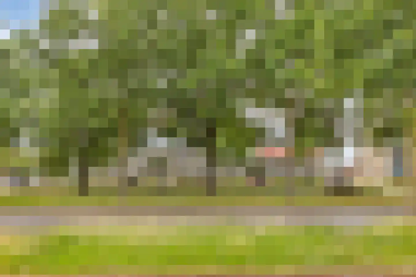 Veldmaarschalk Montgomerylaan 369 Eindhoven thumbnail 44