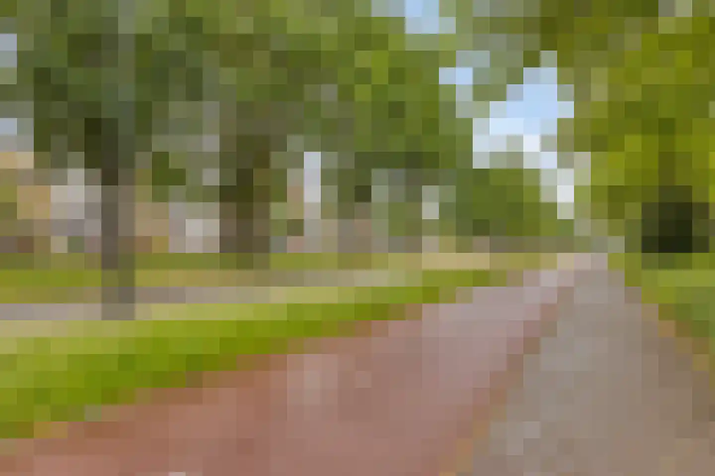 Veldmaarschalk Montgomerylaan 369 Eindhoven thumbnail 51