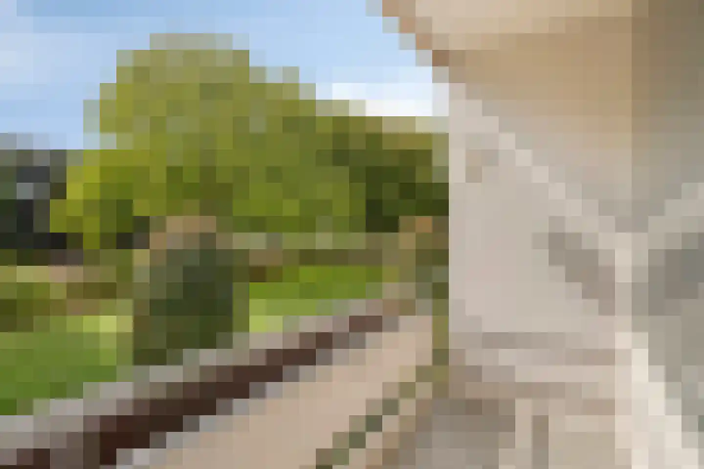 Veldmaarschalk Montgomerylaan 386 Eindhoven thumbnail 15