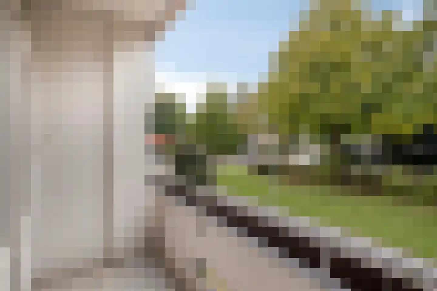 Veldmaarschalk Montgomerylaan 386 Eindhoven thumbnail 16