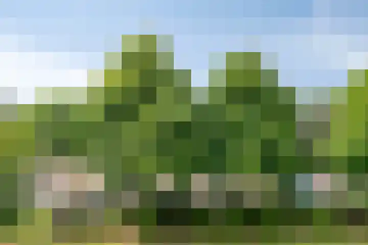 Veldmaarschalk Montgomerylaan 404 Eindhoven thumbnail 11