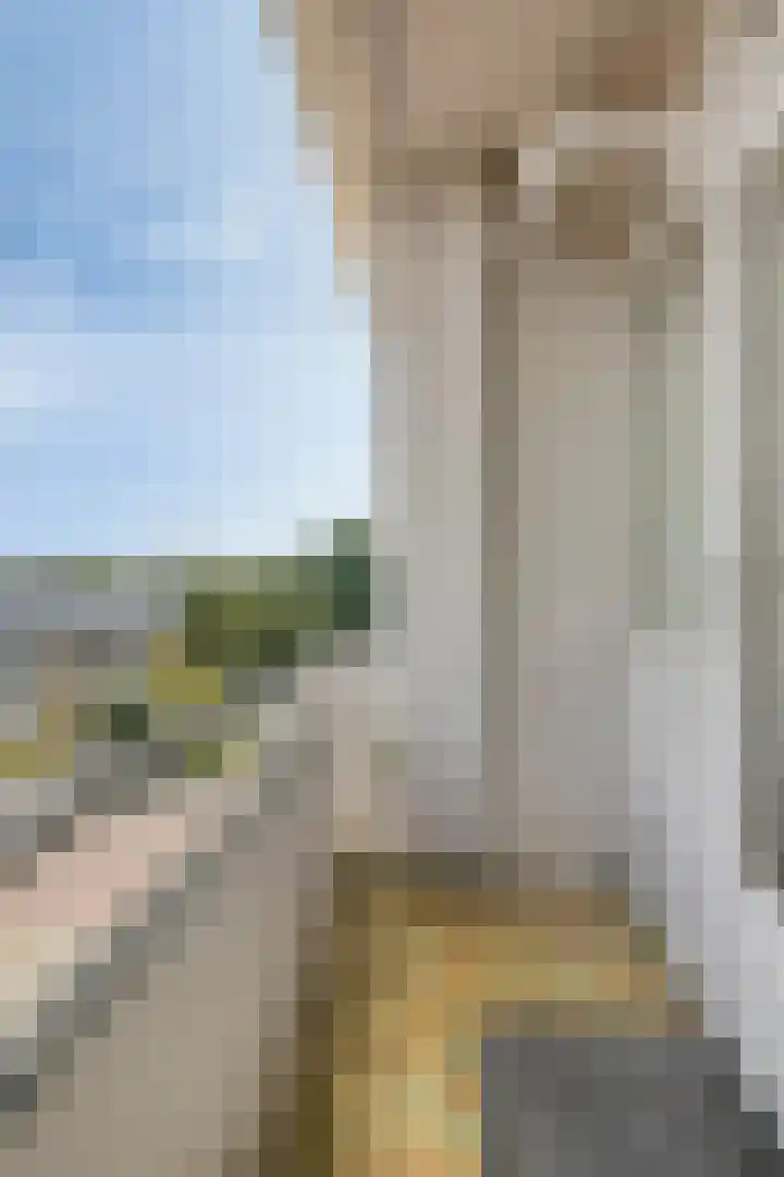 Veldmaarschalk Montgomerylaan 404 Eindhoven thumbnail 17