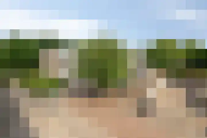 Veldmaarschalk Montgomerylaan 404 Eindhoven thumbnail 18